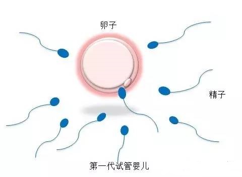 Geri培养箱